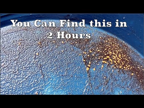 Видео: Вы можете получить это здесь за 2 часа. Золотоискательство