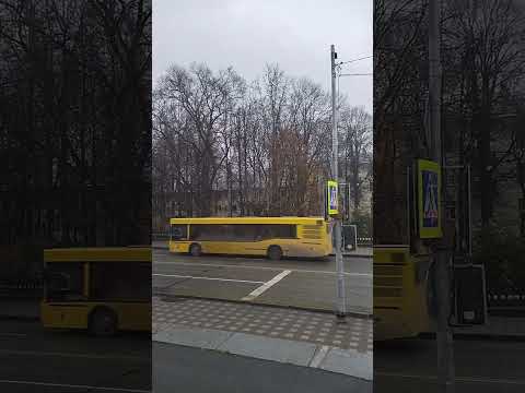 Видео: Мир Надежды, жизнь продолжается..., прогулки по городу. Профайлинг?- что это?