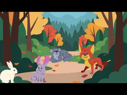 Видео: Як живуть тварини восени?