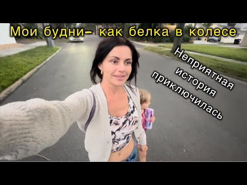 Видео: Мои будни- как белка в колесе