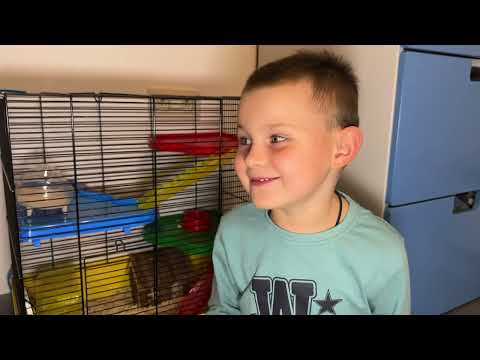 Видео: Мы получили ванночку для купания хомяка, как вы думаете он будет там купаться ? 