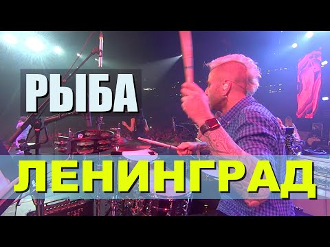 Видео: Ленинград / Рыба / Drum Cam