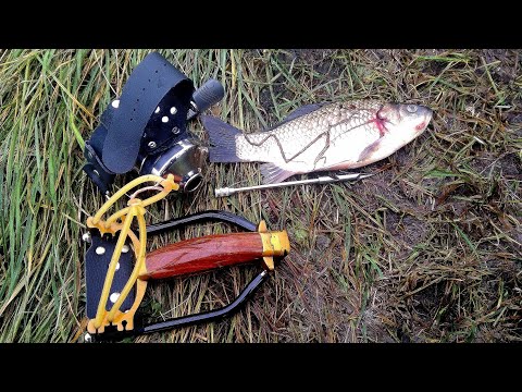 Видео: Учусь стрелять из рогатки в рыбу. Преломление воды.