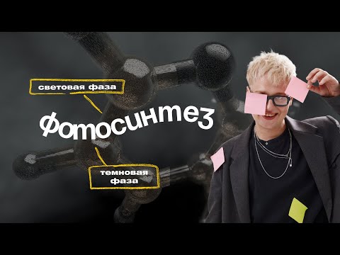 Видео: Марафон по биохимии | Фотосинтез