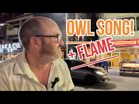 Видео: ОФИЦИАЛЬНАЯ ПЕСНЯ СОВЫ! ЕДА в FLAME PATTAYA