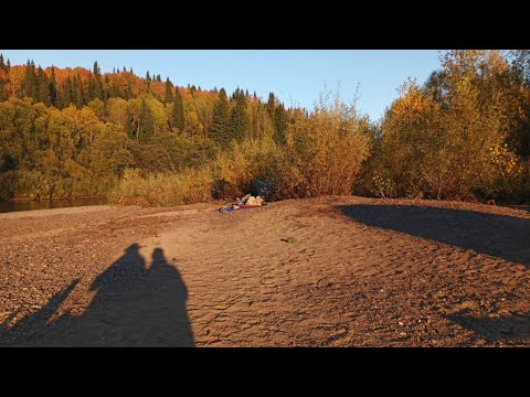 Видео: На Тайдон за Хариусом