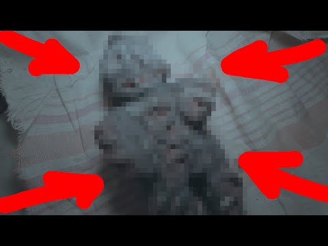 Видео: УЖАСНАЯ НАХОДКА В ЖУТКОЙ КВАРТИРЕ / A terrible find in a creepy apartment