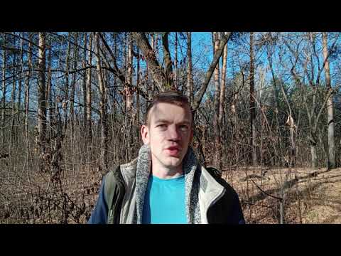 Видео: УХОДИТ ЭПОХА WINDOWS, ПОЧЕМУ Я ВЫБРАЛ LINUX?