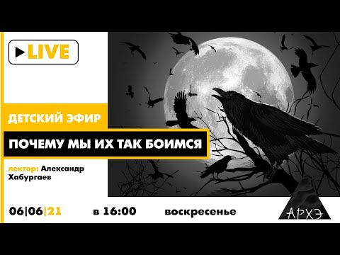 Видео: Детский эфир "Почему мы их так боимся" в рамках рубрики "Путешествия с натуралистом"