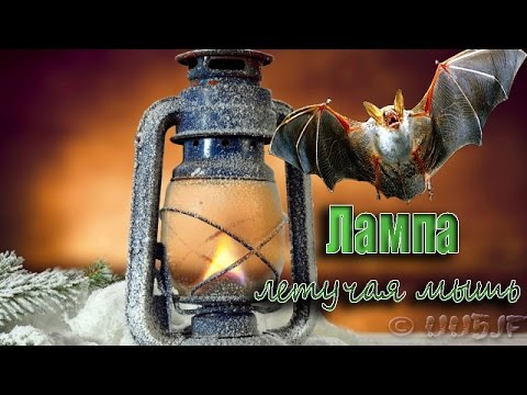 Видео: Керосиновая лампа "летучая мышь"- «Fledermaus»