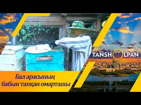 Видео: Бал арасын шағын бау-бақшасында ұстап отырған омарташы