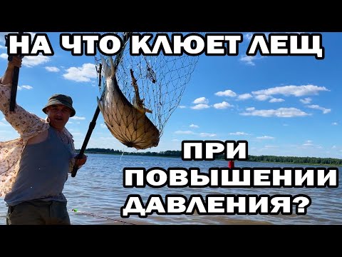 Видео: НА ЧТО КЛЮЕТ ЛЕЩ В РЕКЕ ПРИ ПОВЫШЕНИИ АТМОСФЕРНОГО ДАВЛЕНИЯ? ЛОВЛЯ ЛЕЩА НА ШОШЕ В ЖАРУ - ИЮЛЬ