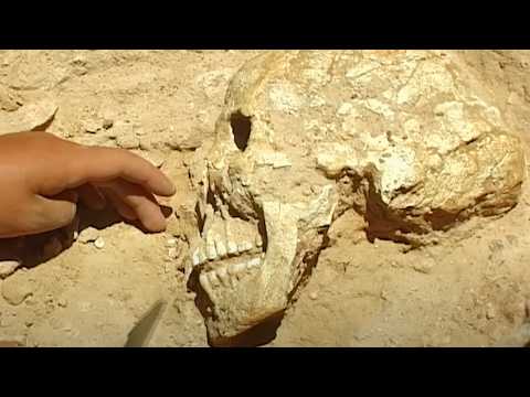 Видео: Африканская римская колония в Хаммамете в Тунисе