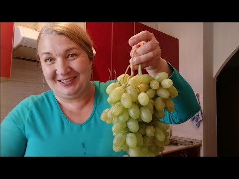 Видео: Открыла сезон винограда☺️🍇