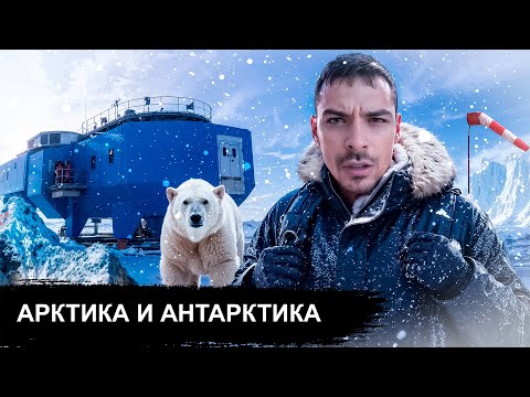 Видео: Северный и Южный Полюса. 10 Интересных Фактов