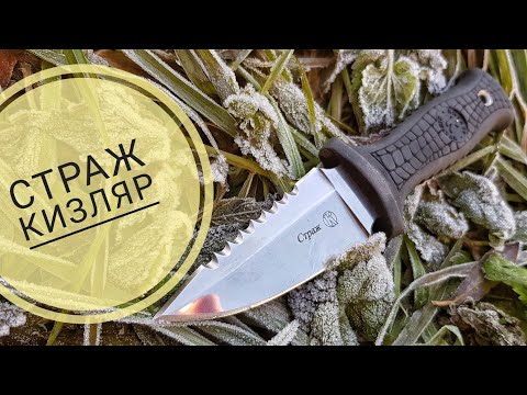 Видео: СТРАЖ от Кизляр. Городской тактик. Какое истинное предназначение?