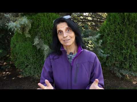 Видео: Какво не знаем за пинчерите?