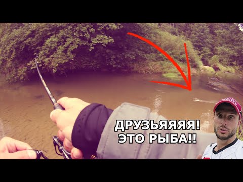 Видео: Спиннинг, малая речка и воблеры. Наконец-то КЛЕВ