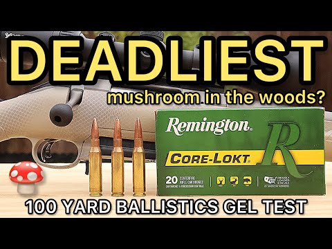 Видео: САМЫЙ СМЕРТОНОСНЫЙ 7-мм-08?! Тест охотничьих патронов Remington Corelokt