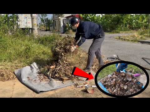 Видео: То, что я обнаружил после уборки этой травы, вас удивит!
