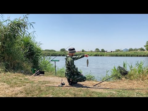 Видео: РЫБАЛКА НА ПЛАТНИКЕ! ЛОВЛЮ НА ФИДЕР!