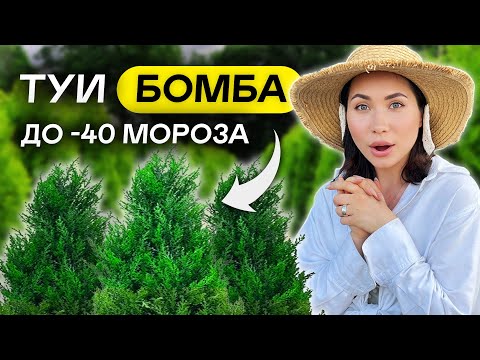 Видео: ПОСАДИЛ И ЗАБЫЛ! 12 самых НЕПРИХОТЛИВЫХ ТУЙ для 6 соток