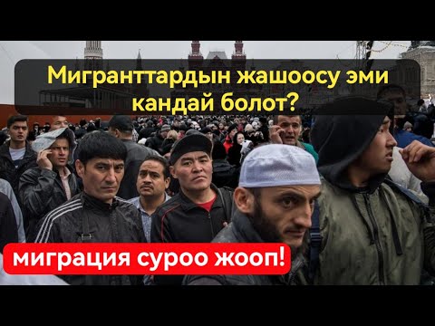 Видео: Мигранттар катуу кыйналды, кантип ситуациядан чыгабыз!