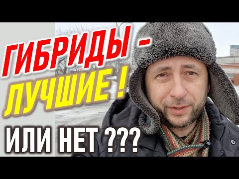 Видео: Гибрид - спасение или тупиковая ветвь? Электромашины. Гибрид или электромобиль.