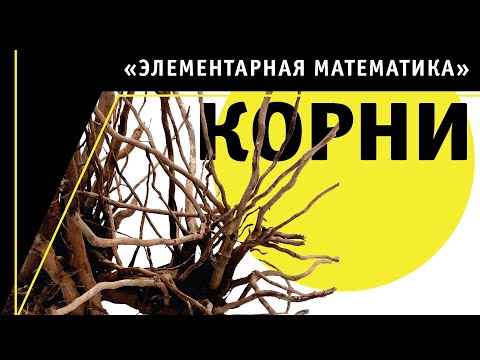 Видео: Корни | Элементарная математика