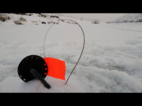 Видео: ЗИМНЯЯ, МОРОЗНАЯ! Рыбалка со льда 2020-21 на жерлицы. Окунь и плотва на безмотылку