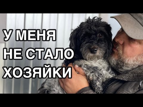 Видео: Спасение животных/ Пополнение в приюте «Хвостатое счастье»/Как Муха оказалась у нас