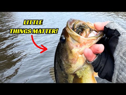 Видео: Это мелочи, которые имеют значение!