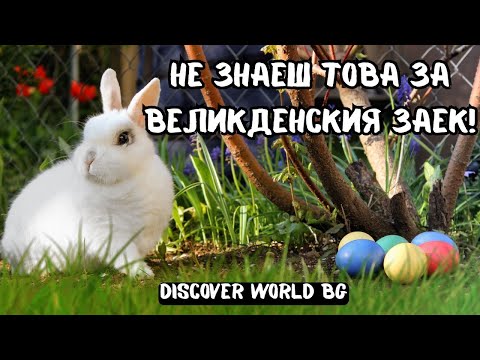 Видео: ВЕЛИКДЕНСКИЯТ ЗАЕК