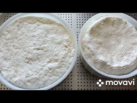 Видео: сыр "Брынза",домашний ,имеретинский