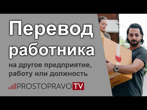 Видео: Перевод работника на другое предприятие, работу или должность