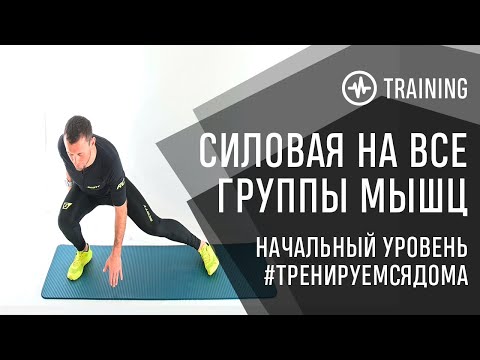 Видео: Силовая на все группы мышц - тренировка дома! Начальный уровень.