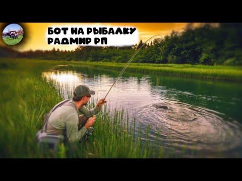 Видео: БОТ НА РЫБАЛКУ РАДМИР РП 6.8 FISH BOT RADMIR RP!