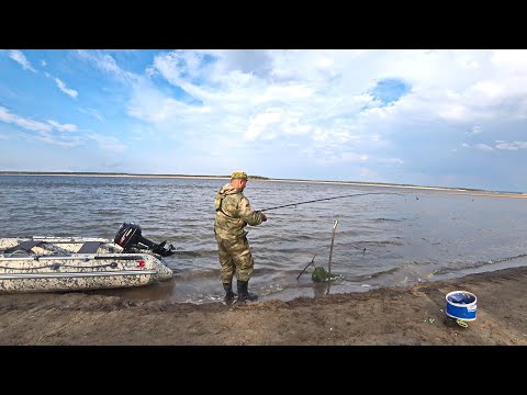 Видео: ОТЛОВИЛСЯ НА ДОНКУ НА БОЛЬШОЙ РЕКЕ. ДОНКА ЛОВИТ Я КАЙФУЮ.