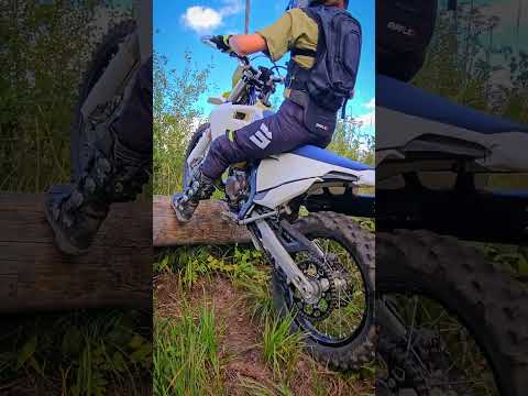 Видео: Горелый лес в Осеченках. Любителям брёвен зайдёт