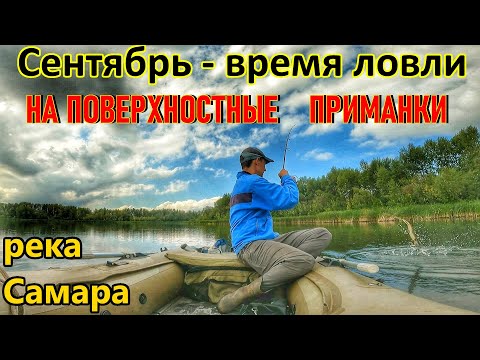 Видео: ЛОВЛЯ ХИЩНИКА НА СПИННИНГ В СЕНТЯБРЕ НА РЕКЕ САМАРА/РЫБАЛКА НА ЩУКУ, ОКУНЯ И ЖЕРЕХА/ЛОВЛЯ НА ВОБЛЕРЫ