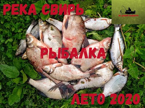 Видео: река Свирь рыбалка, лето 2020