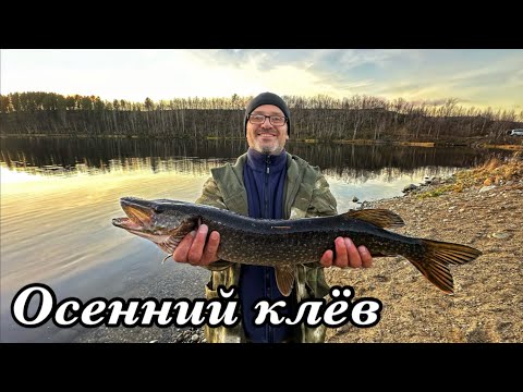 Видео: Осенний клёв. Мурманская область. Октябрь’24