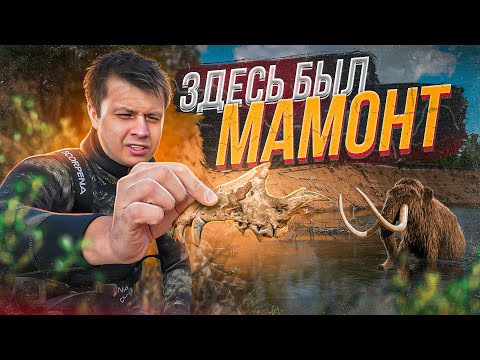 Видео: ОХОТА за МАМОНТАМИ под водой | Экспедиция по следам древних млекопитающих