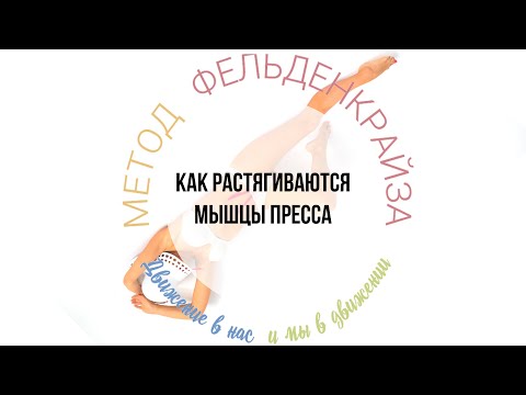 Видео: Как растягиваются мышцы пресса
