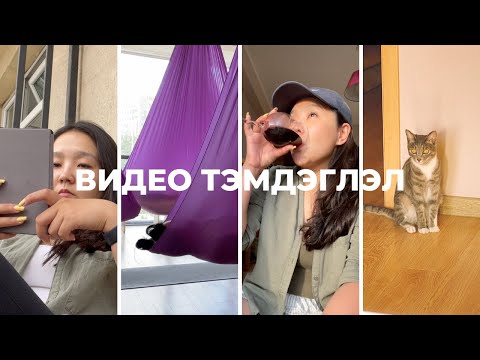 Видео: Иогийн студийн эрэлд & Ийв нүүж ирэв | ВЛОГ