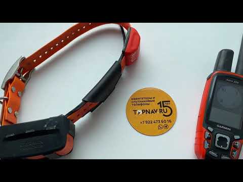Видео: Как определить версию ошейника Garmin T5