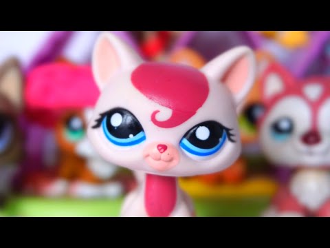 Видео: МОИ ПЕРВЫЕ LPS