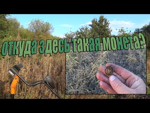 Видео: Откуда здесь такая монета? Поиск монет с металлоискателем Garrett at  pro! Неожиданная находка!