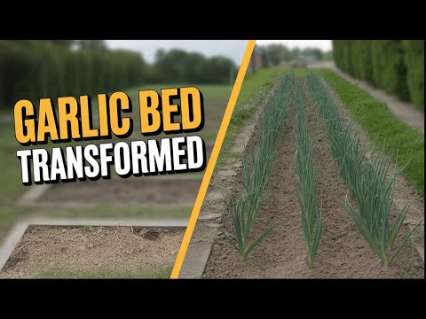 Видео: Первые всходы на огороде уже здесь!