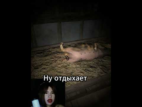 Видео: А где все люди?